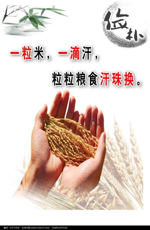马切拉塔大学学位证